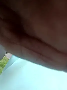 dolphiinn online show from February 10, 2026, 12:15 pm