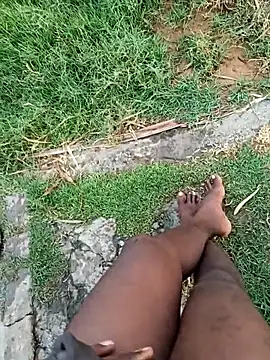 dolphiinn online show from January 11, 2026, 1:23 am