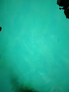 Arti13A online show from January 17, 2026, 3:15 pm