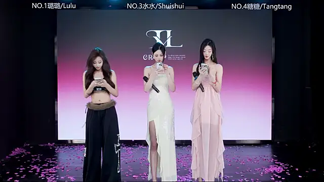 Snapshot of SK-001 chatting on January 11, 2026, 12:34 pm SK-001 online show from January 11, 2026, 12:34 pm