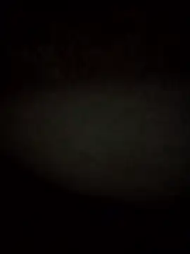 Snapshot of RevokingWaverer chatting on February 3, 2026, 12:10 pm RevokingWaverer online show from February 3, 2026, 12:10 pm