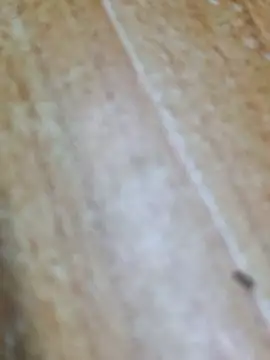 Snapshot of Markroco696 chatting on September 28, 2025, 3:46 am Markroco696 online show from September 28, 2025, 3:46 am