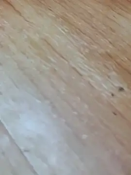 Markroco696 online show from November 14, 2025, 4:05 am