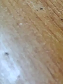 Snapshot of Markroco696 chatting on October 14, 2025, 3:18 am Markroco696 online show from October 14, 2025, 3:18 am