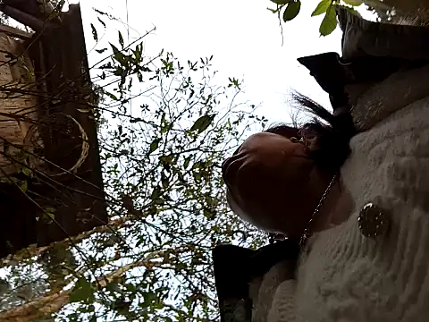  Helala  online show from January 13, 2026, 12:15 am