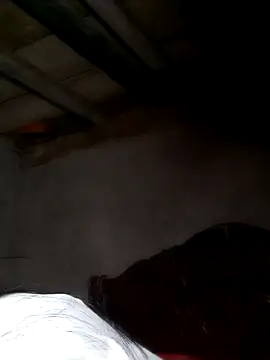 misa 00 online show from February 24, 2026, 8:31 pm