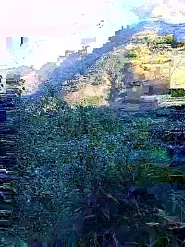 misa 00 online show from November 29, 2025, 1:06 am