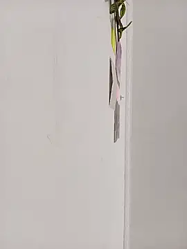 Snapshot of dulcelatin21 chatting on October 17, 2025, 2:41 pm dulcelatin21 online show from October 17, 2025, 2:41 pm