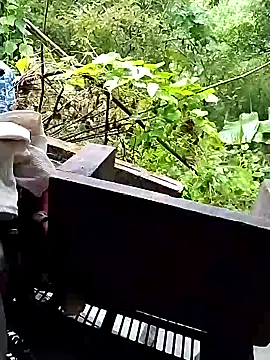 Snapshot of lylylove chatting on September 26, 2025, 12:39 am lylylove online show from September 26, 2025, 12:39 am