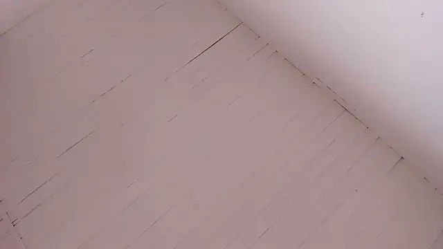 Snapshot of BellaBoobs_ chatting on October 15, 2025, 7:33 pm BellaBoobs  online show from October 15, 2025, 7:33 pm