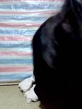 Georgia here online show from December 16, 2025, 12:37 am