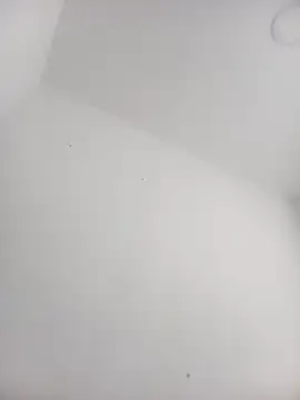 Snapshot of Alisson_Morgann chatting on October 5, 2025, 1:57 pm Alisson Morgann online show from October 5, 2025, 1:57 pm