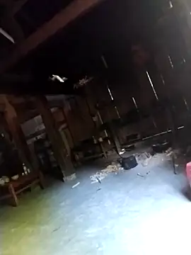 Snapshot of Hoala7890 chatting on September 18, 2025, 9:56 am Hoala7890 online show from September 18, 2025, 9:56 am