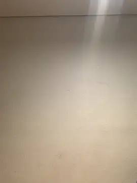 Snapshot of Mellow_Joe chatting on October 31, 2025, 8:16 pm Mellow Joe online show from October 31, 2025, 8:16 pm