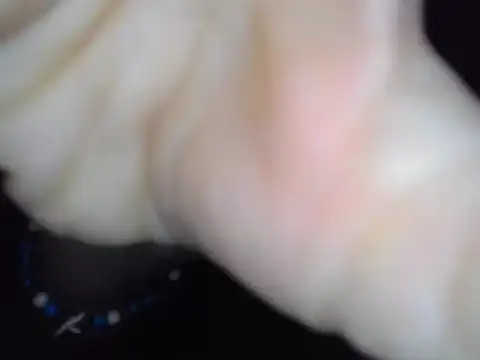 Miss Nona online show from January 9, 2026, 6:09 am