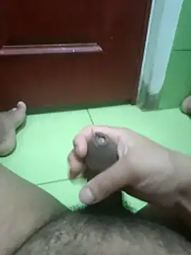 Snapshot of Geminis_95 chatting on February 4, 2026, 3:01 am Geminis 95 online show from February 4, 2026, 3:01 am