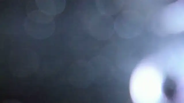 Luna Analya online show from February 5, 2026, 1:40 pm