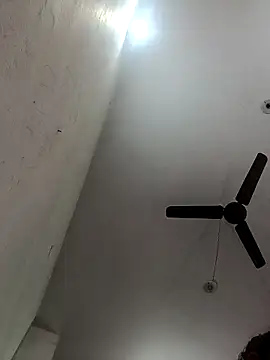 Appypie online show from November 5, 2025, 7:33 am