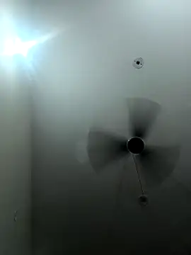 Snapshot of Appypie chatting on September 16, 2025, 4:41 pm Appypie online show from September 16, 2025, 4:41 pm