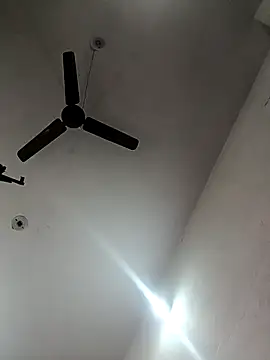 Snapshot of Appypie chatting on October 29, 2025, 6:01 am Appypie online show from October 29, 2025, 6:01 am