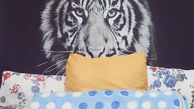 SweetPortableAmber online show from March 17, 2026, 11:35 am