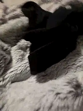 bigdicksklave online show from October 31, 2025, 7:54 pm