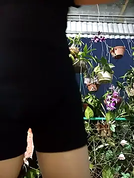 Thaohoa love online show from September 21, 2025, 11:15 am