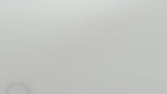 Snapshot of scarletross_ chatting on February 26, 2026, 2:39 pm scarletross online show from February 26, 2026, 2:39 pm