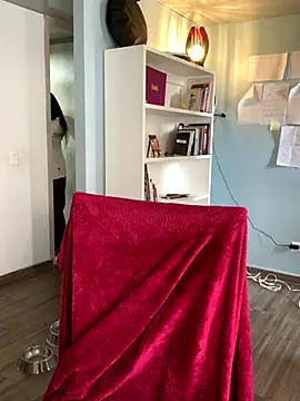 Snapshot of Canneela chatting on October 22, 2025, 4:17 pm Canneela online show from October 22, 2025, 4:17 pm