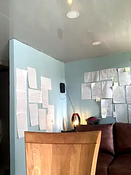 Canneela online show from November 29, 2025, 6:08 pm