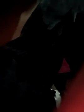 Snapshot of Antique-stickchart-couple chatting on November 11, 2025, 12:55 pm Antique-stickchart-couple online show from November 11, 2025, 12:55 pm