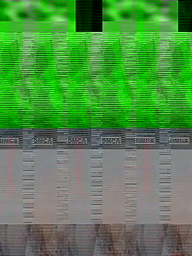 Rinki bhabhiji online show from October 31, 2025, 4:47 pm