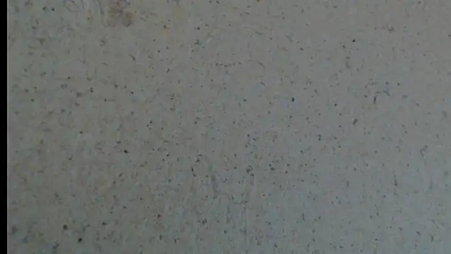 crazy daniela online show from October 23, 2025, 8:18 pm