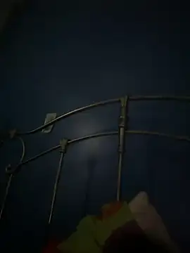 stevo170t online show from October 8, 2025, 1:45 pm