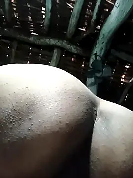 Sheema tyagi online show from December 14, 2025, 9:15 am