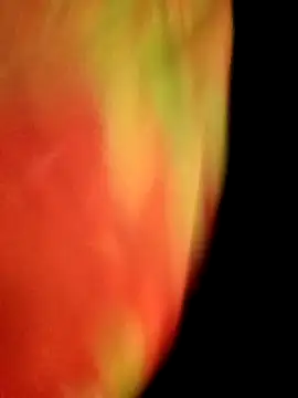 Snapshot of gulapi-gulistan180 chatting on September 28, 2025, 5:09 pm gulapi-gulistan180 online show from September 28, 2025, 5:09 pm