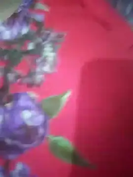 Snapshot of hezabi_queen07 chatting on September 19, 2025, 6:12 pm hezabi queen07 online show from September 19, 2025, 6:12 pm