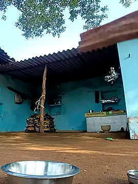 Hot-honi online show from November 2, 2025, 3:22 am