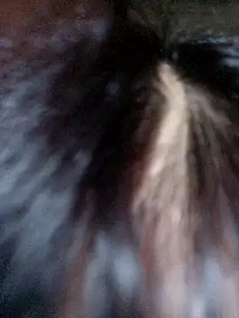 Snapshot of VanGau031694 chatting on October 8, 2025, 8:16 am VanGau031694 online show from October 8, 2025, 8:16 am