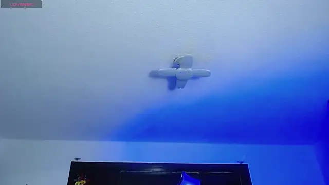  Charlotte Collins  online show from February 27, 2026, 2:39 pm