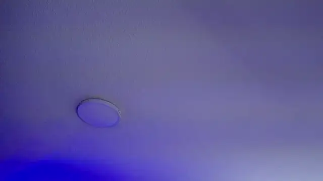  Charlotte Collins  online show from March 9, 2026, 2:31 pm