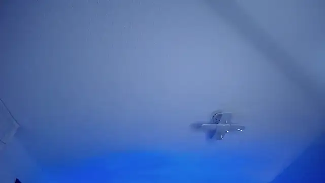  Charlotte Collins  online show from March 13, 2026, 2:22 pm