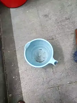 Yourminal online show from October 11, 2025, 7:48 pm