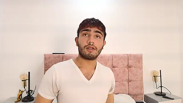 Snapshot of Ares_Alpha chatting on October 21, 2025, 7:46 pm Ares Alpha online show from October 21, 2025, 7:46 pm