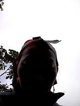 tcm-cute online show from November 6, 2025, 2:37 am