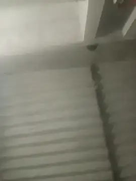 Snapshot of Payal950 chatting on October 18, 2025, 3:14 pm Payal950 online show from October 18, 2025, 3:14 pm