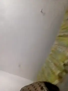 Payal950 online show from April 21, 2026, 11:17 am