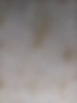 Snapshot of Payal950 chatting on October 5, 2025, 12:56 am Payal950 online show from October 5, 2025, 12:56 am