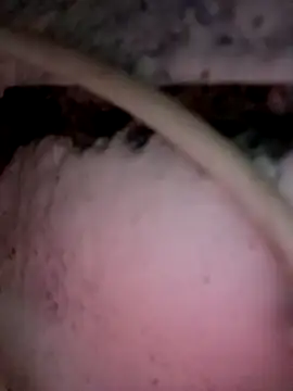 Payal950 online show from December 3, 2025, 12:01 am