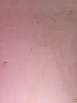 Snapshot of Payal950 chatting on September 25, 2025, 6:19 am Payal950 online show from September 25, 2025, 6:19 am